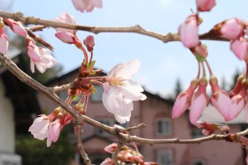 المظهر الخارجي