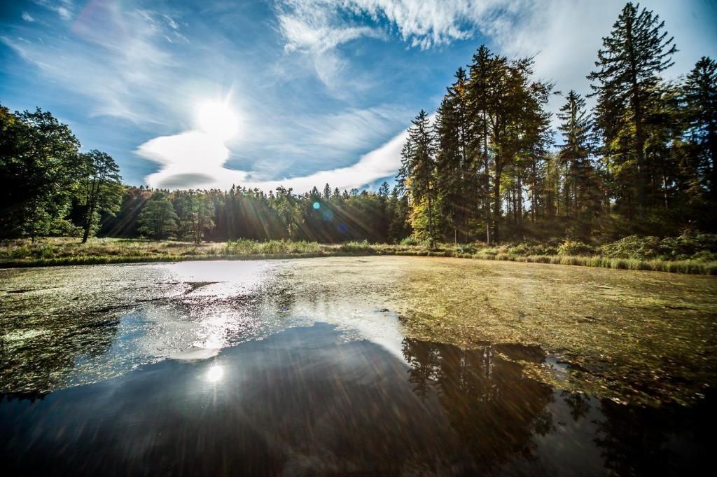 المظهر الخارجي