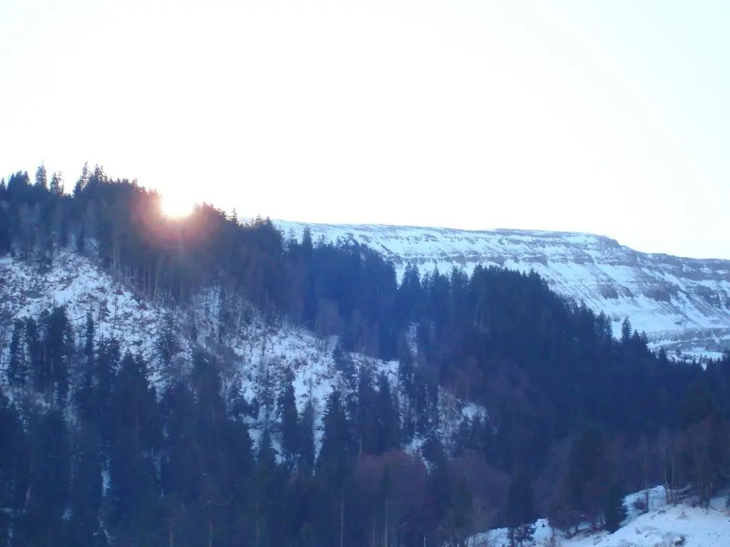 المظهر الخارجي