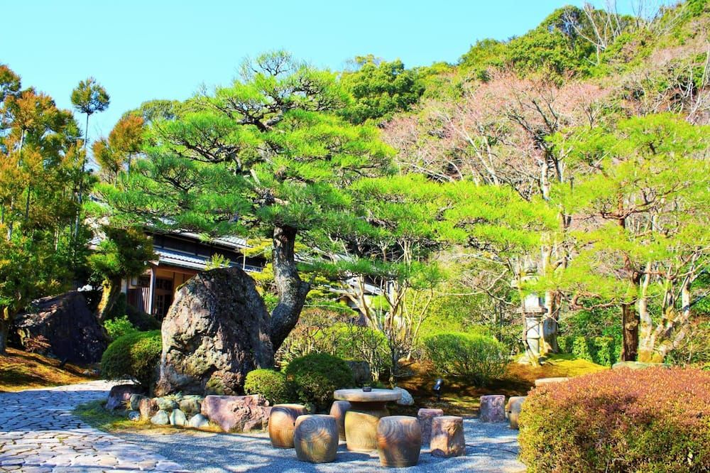 المظهر الخارجي