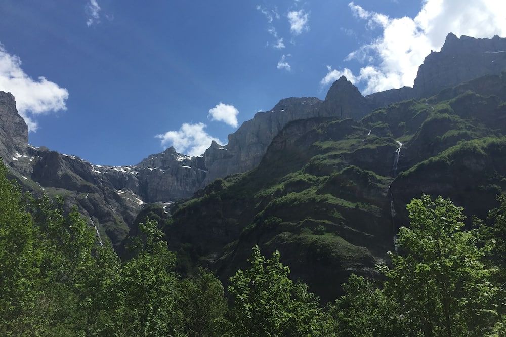 المظهر الخارجي