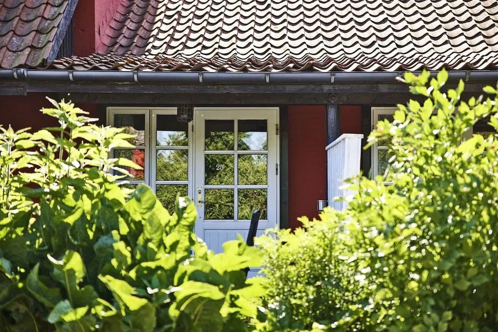 المظهر الخارجي