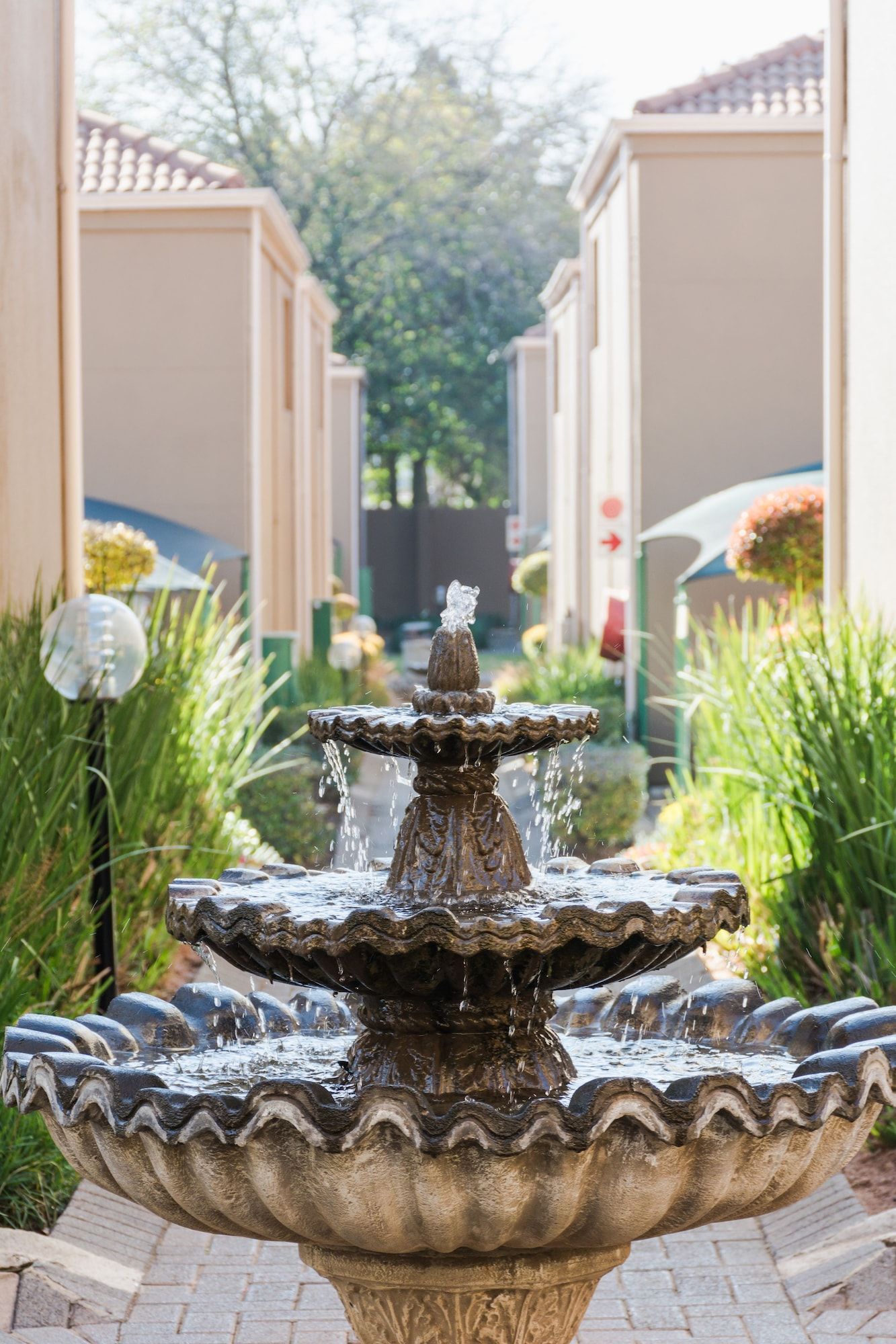 المظهر الخارجي