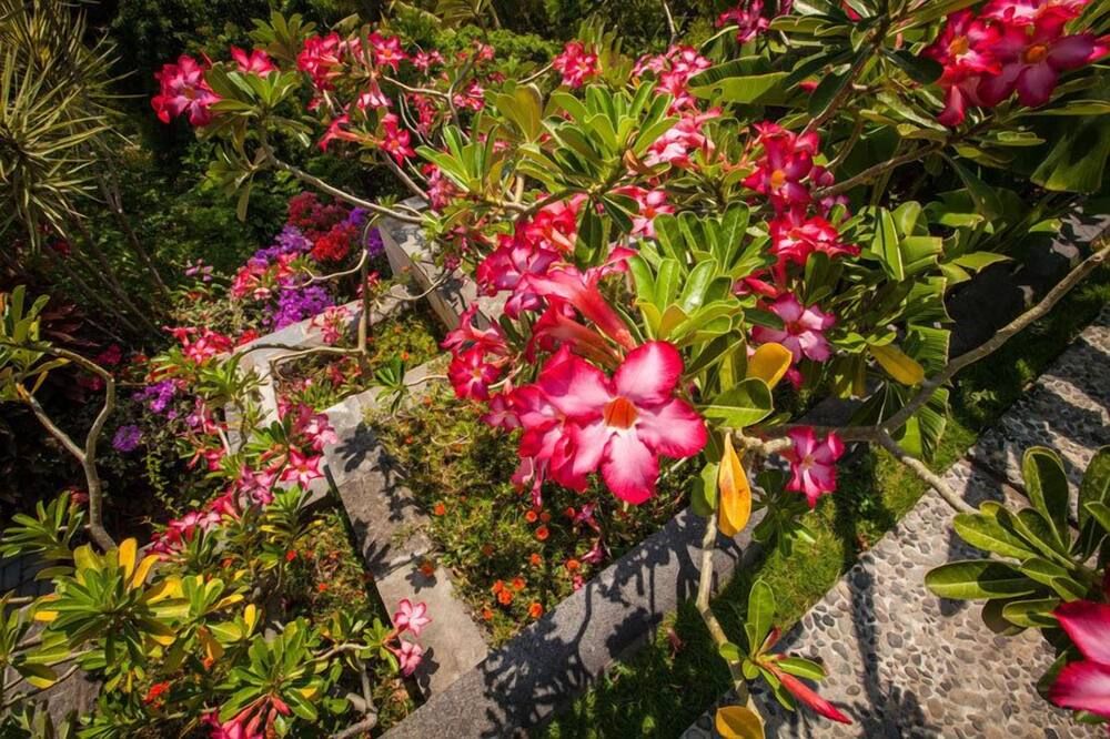 المظهر الخارجي