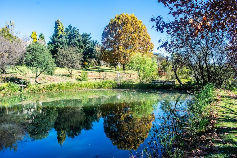 المظهر الخارجي