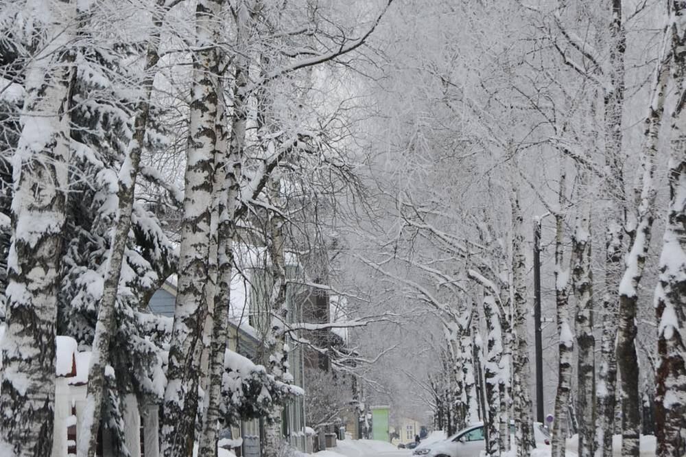 المظهر الخارجي