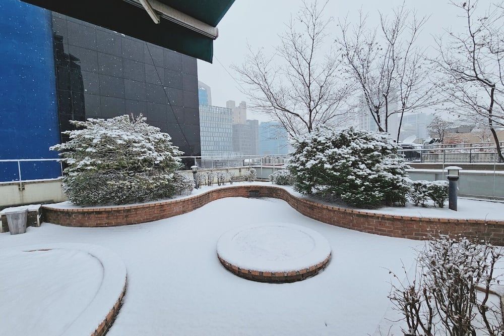 المظهر الخارجي