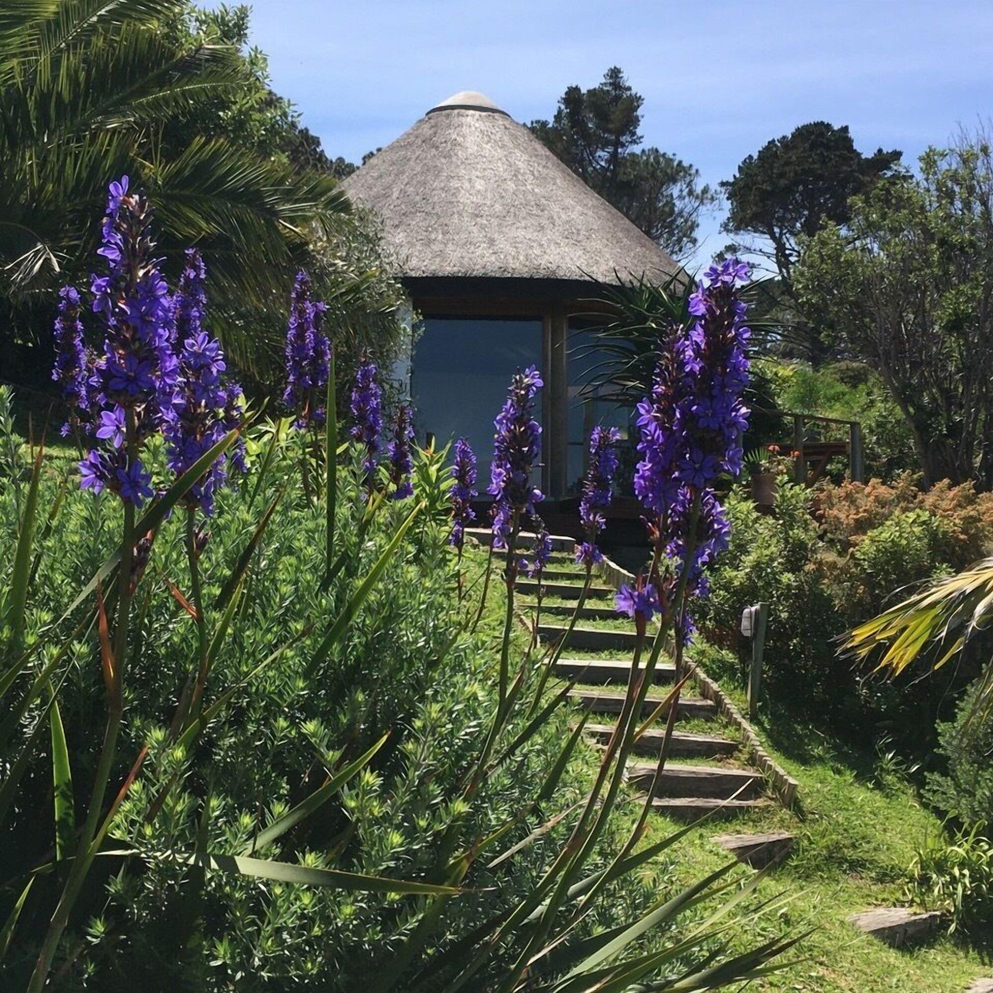 المظهر الخارجي