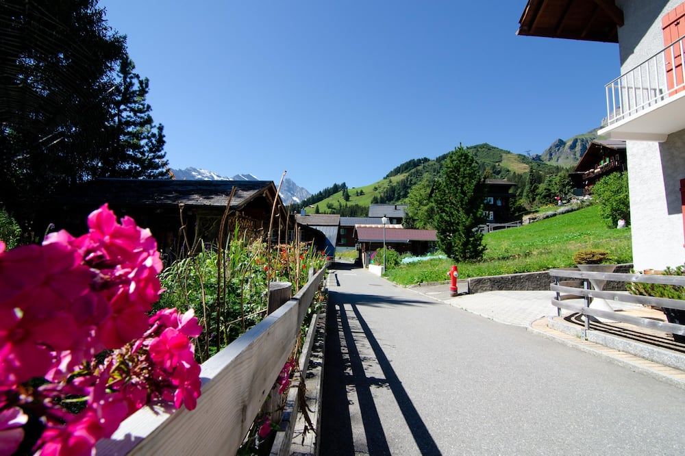 المظهر الخارجي