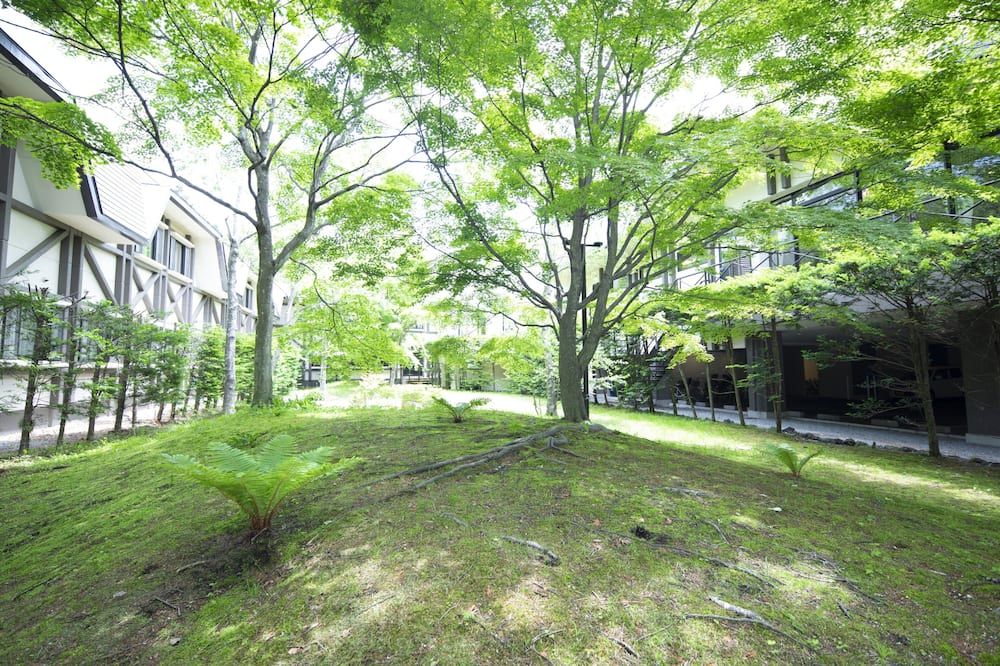 المظهر الخارجي