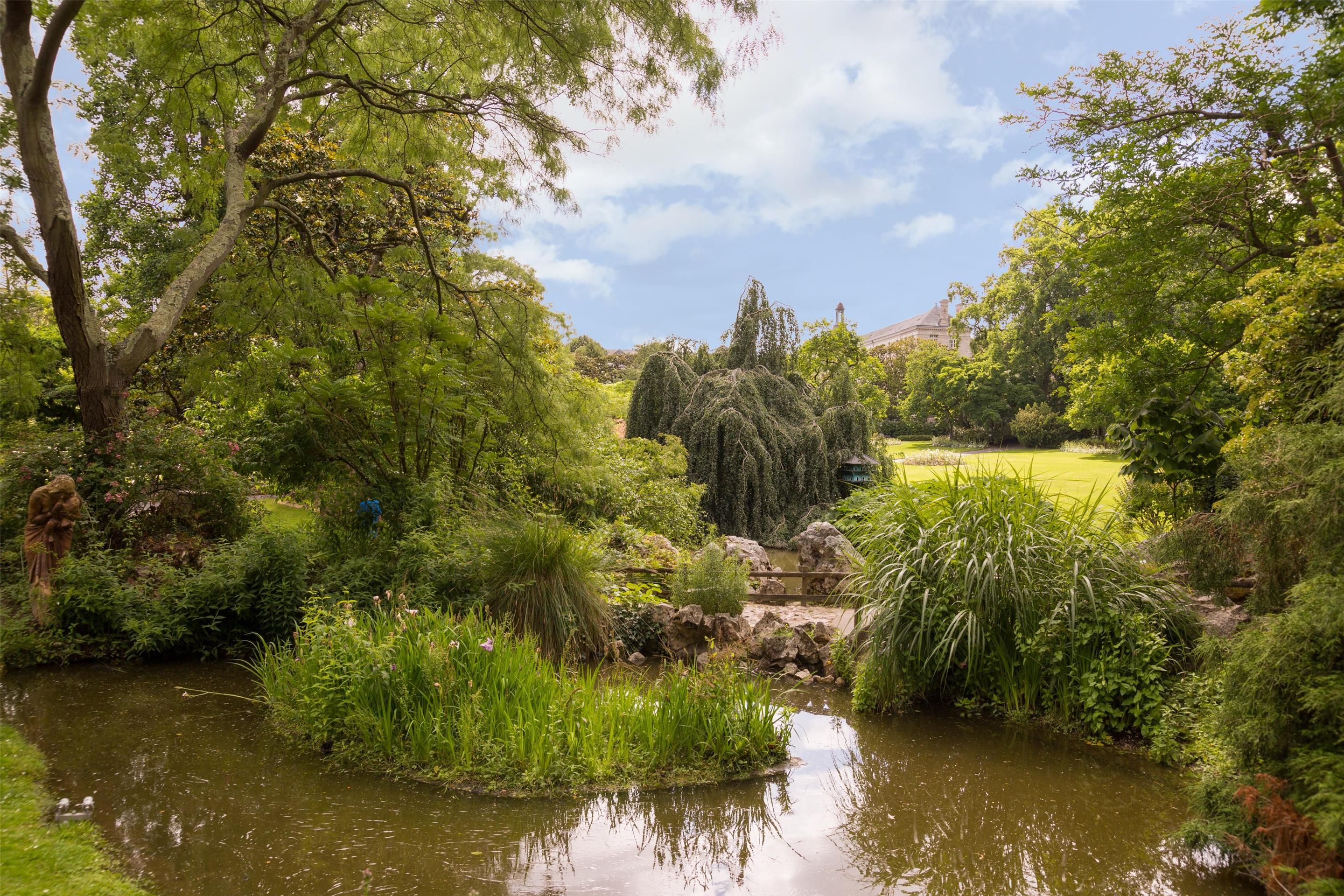 المظهر الخارجي