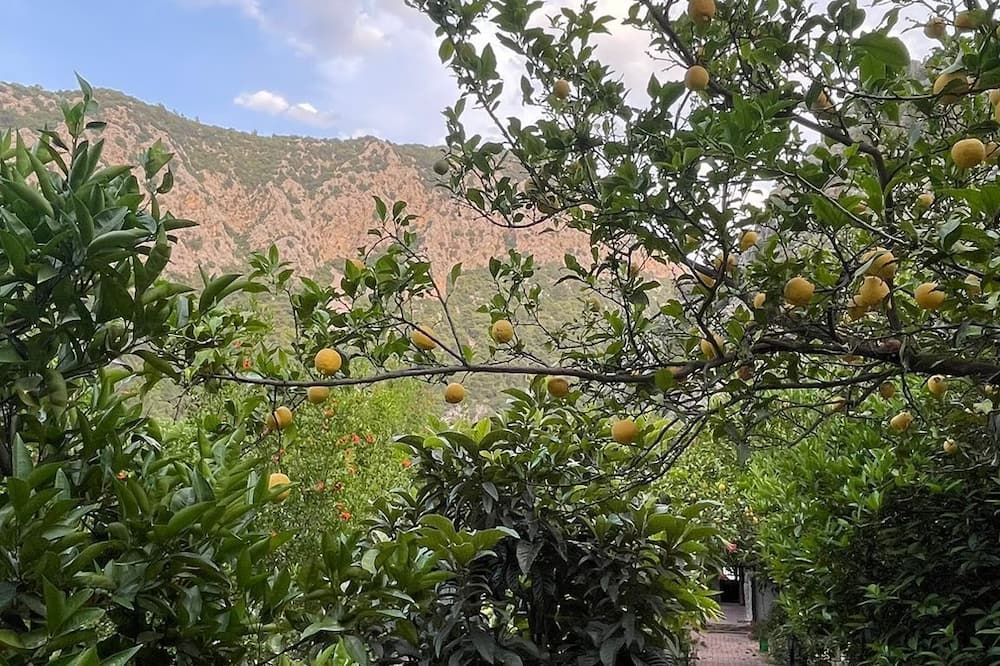 المظهر الخارجي