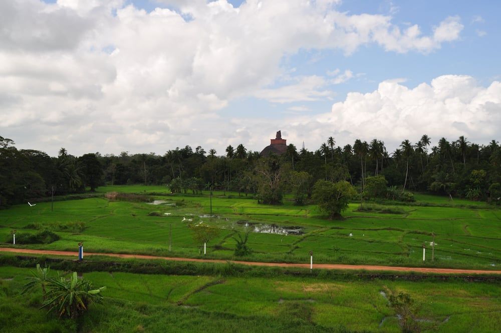 المظهر الخارجي