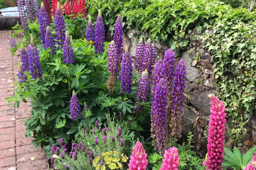 المظهر الخارجي