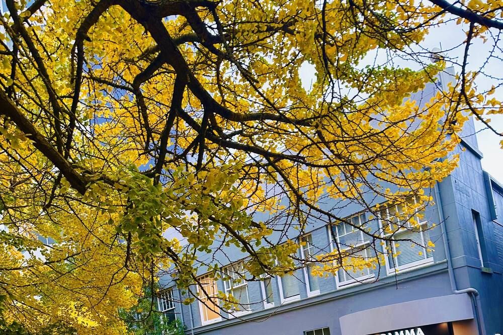 المظهر الخارجي