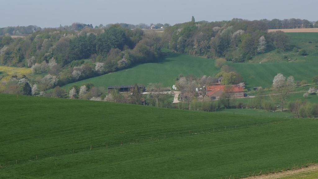 المظهر الخارجي