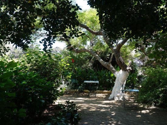 المظهر الخارجي