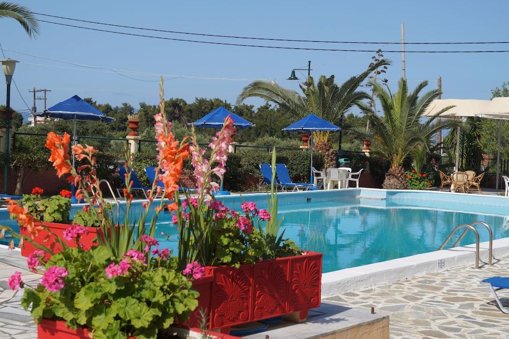 حوض السباحة صورة