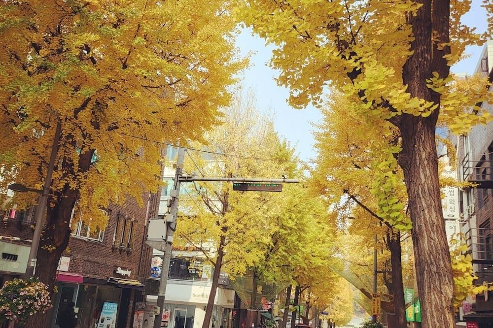 المظهر الخارجي