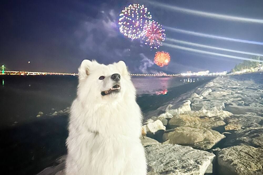 آخر