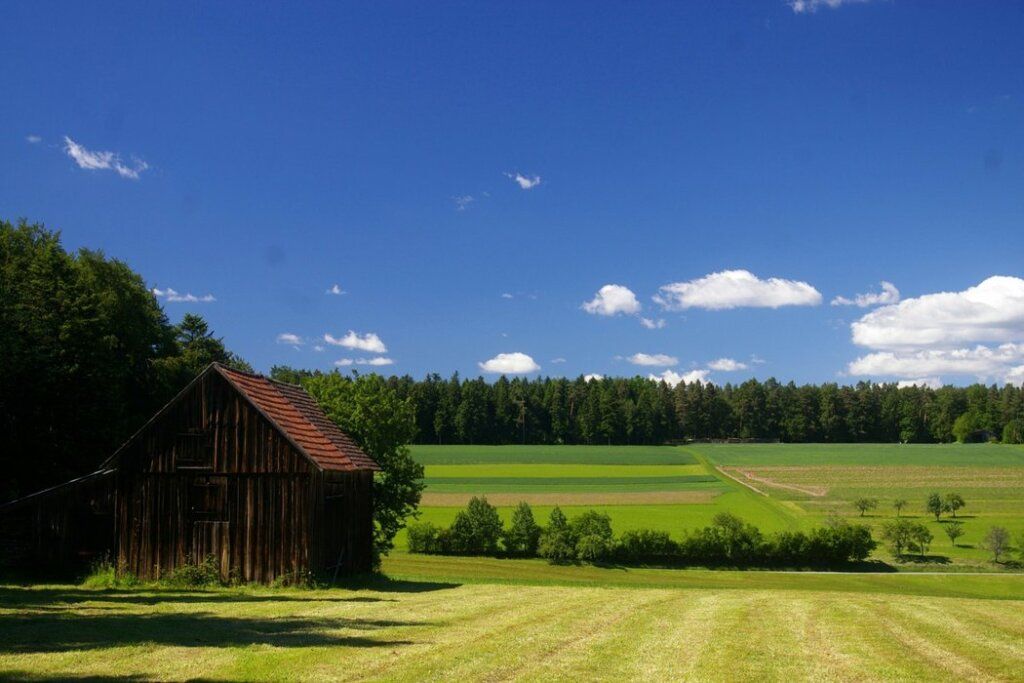 المظهر الخارجي