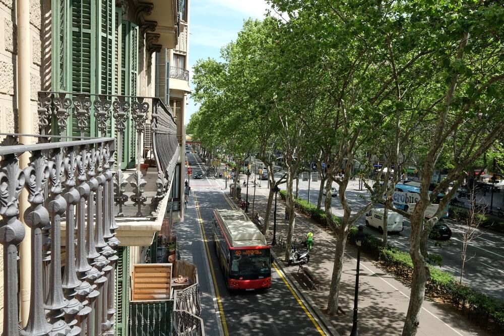 المظهر الخارجي