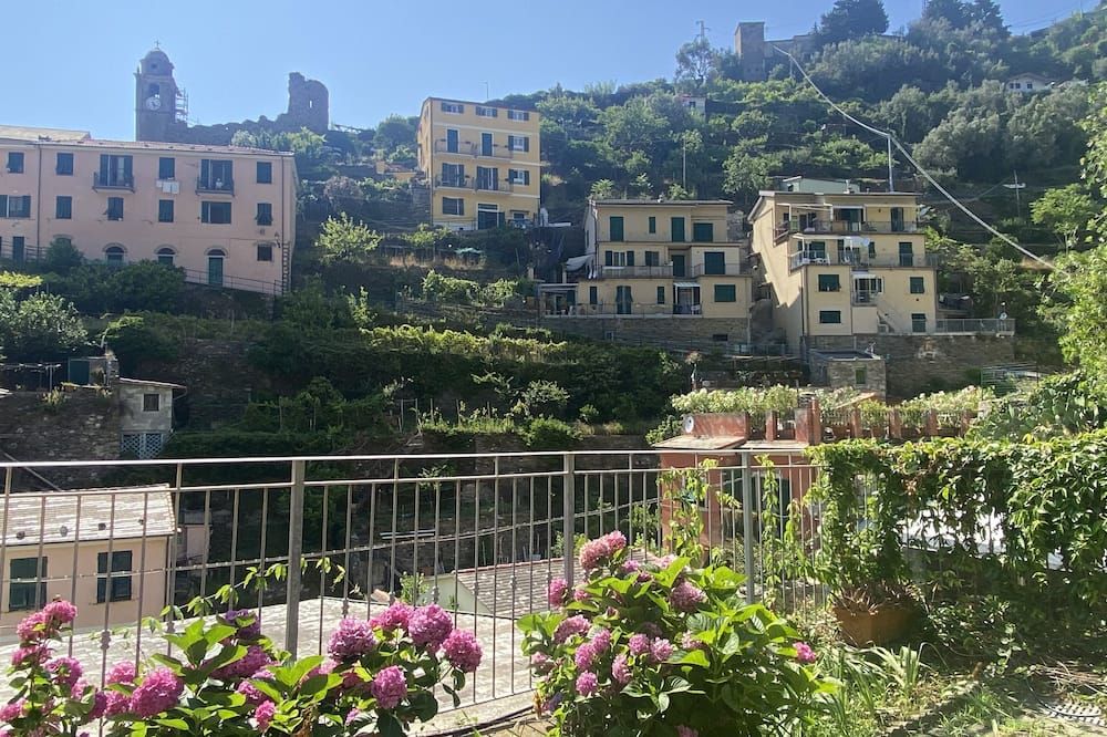 المظهر الخارجي