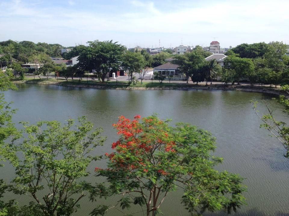 المظهر الخارجي