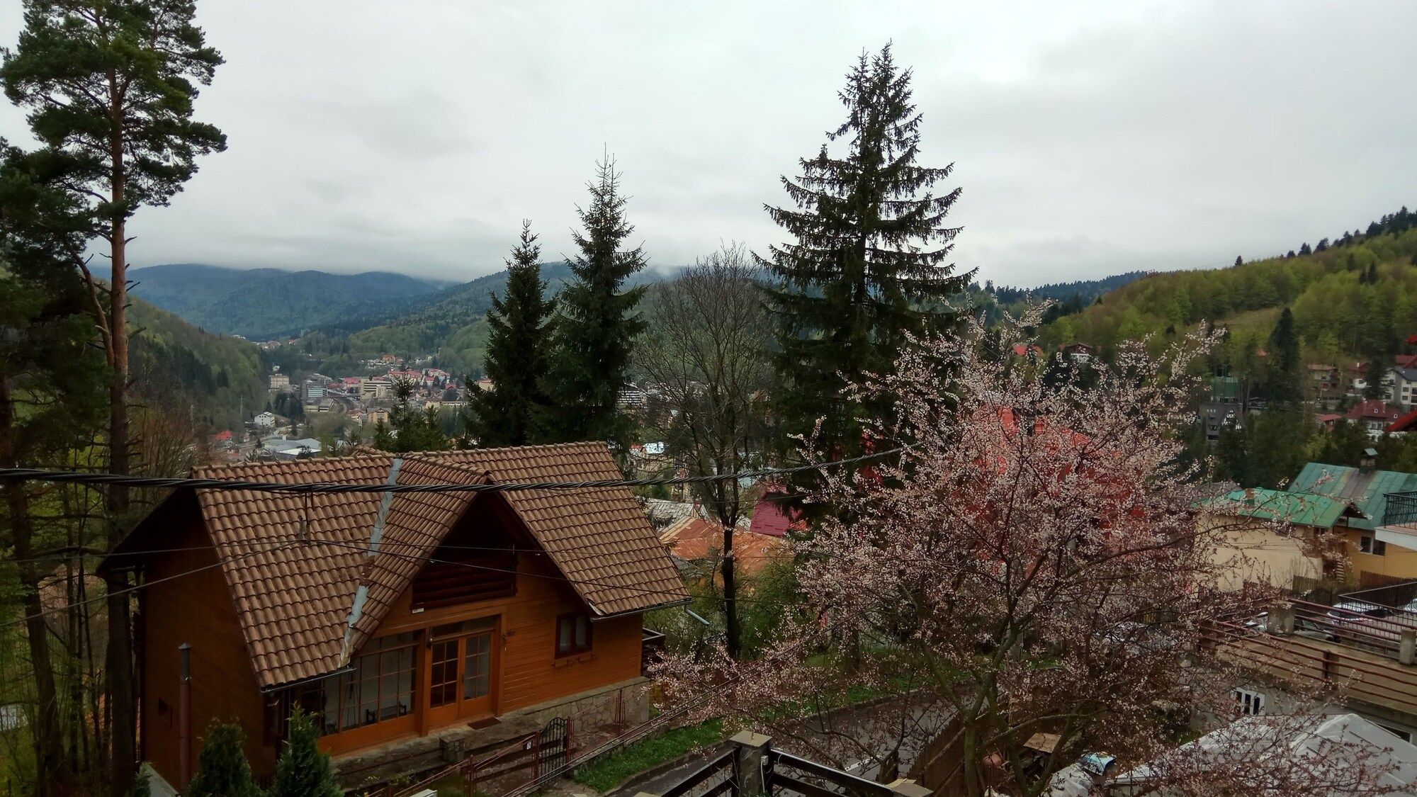 المظهر الخارجي