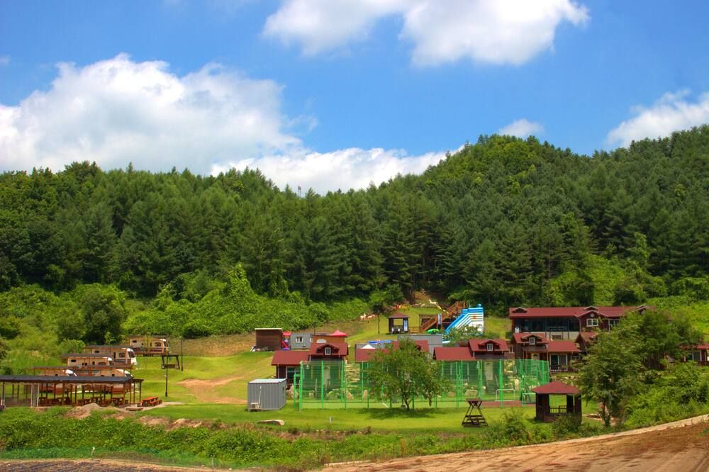 المظهر الخارجي