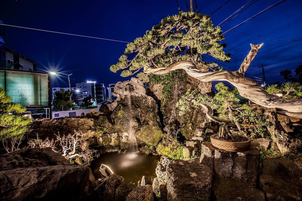 المظهر الخارجي