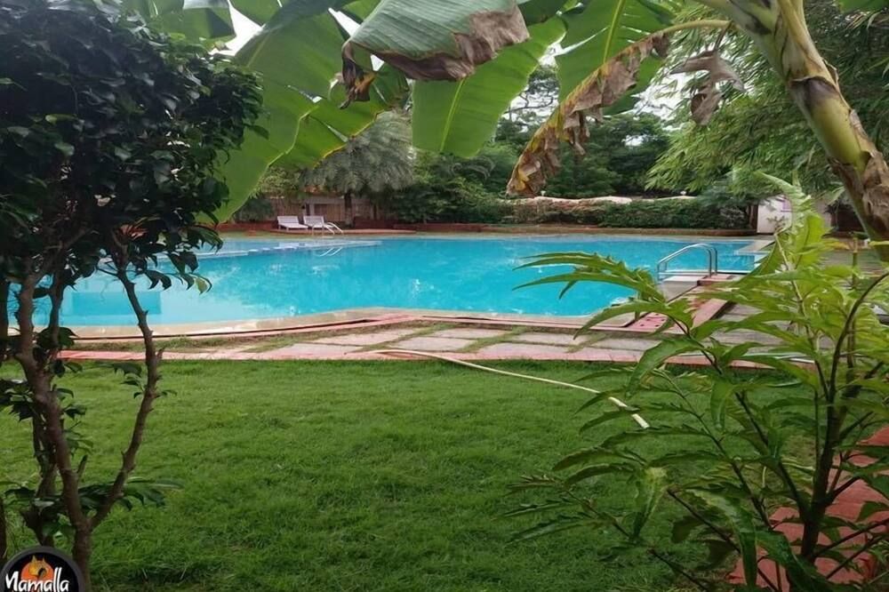 حوض السباحة