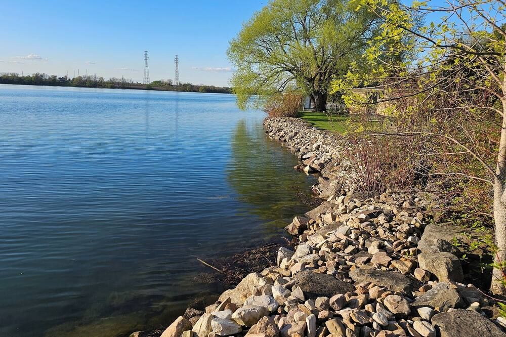 المظهر الخارجي