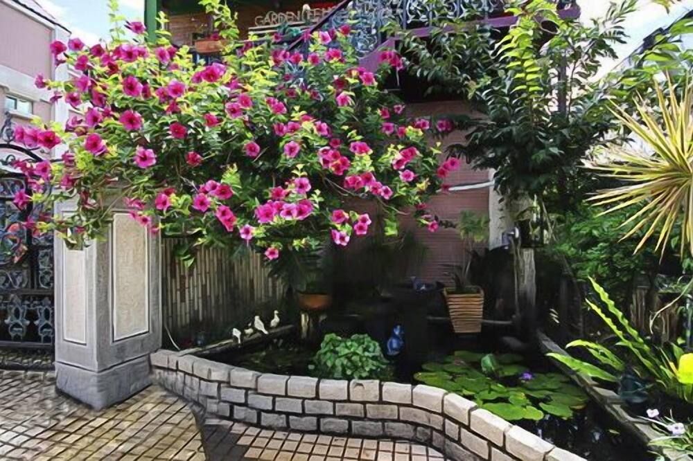 المظهر الخارجي