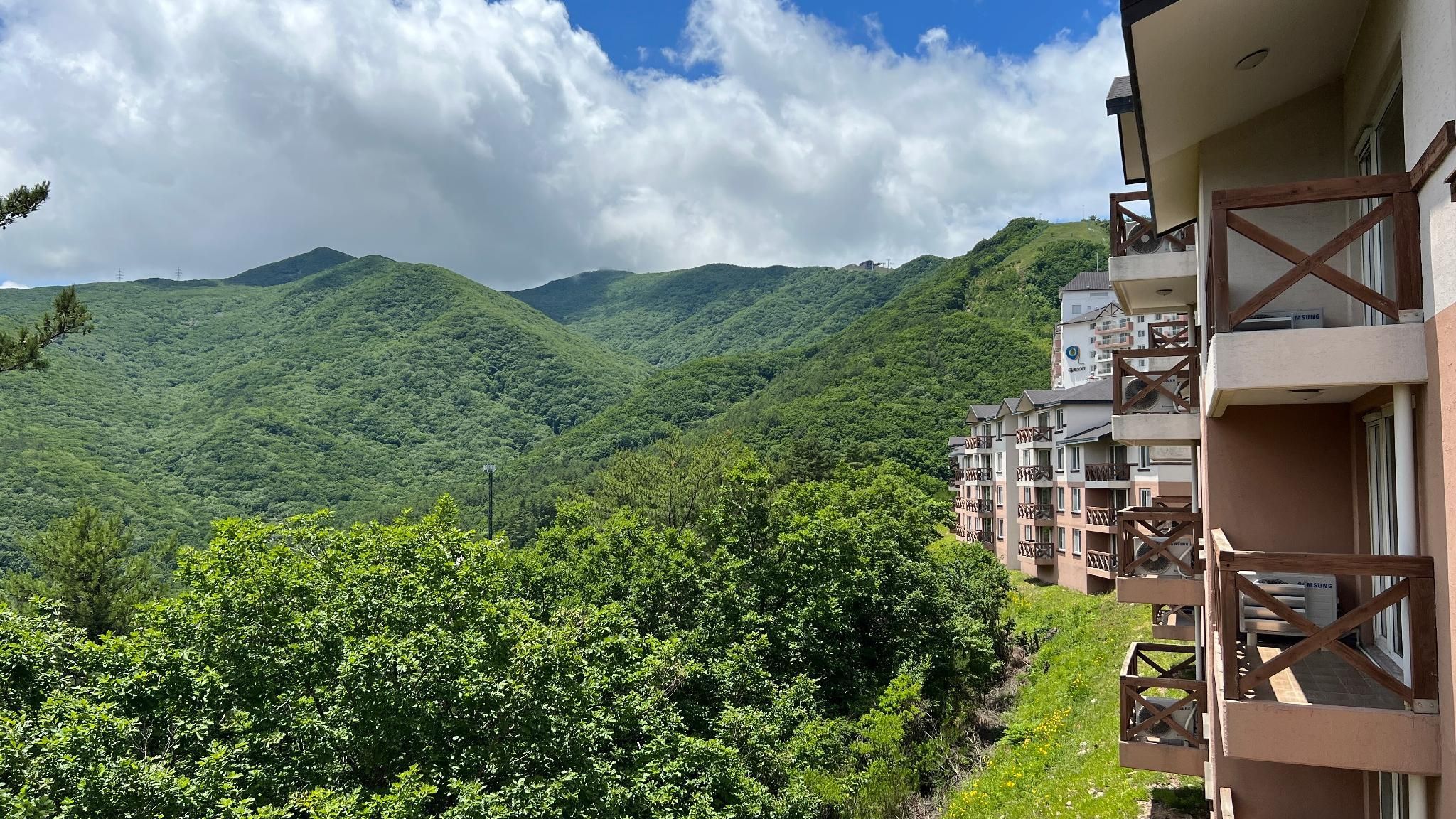 المظهر الخارجي