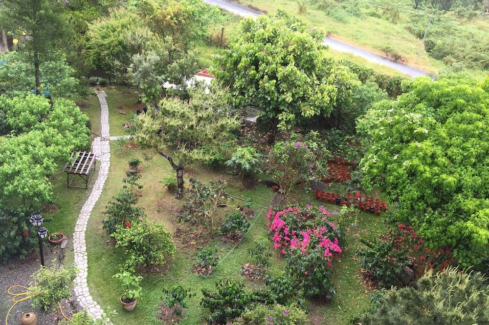 المظهر الخارجي