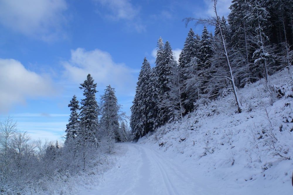 المظهر الخارجي