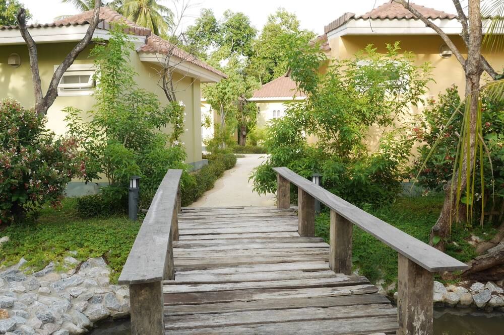 المظهر الخارجي