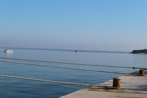 المظهر الخارجي