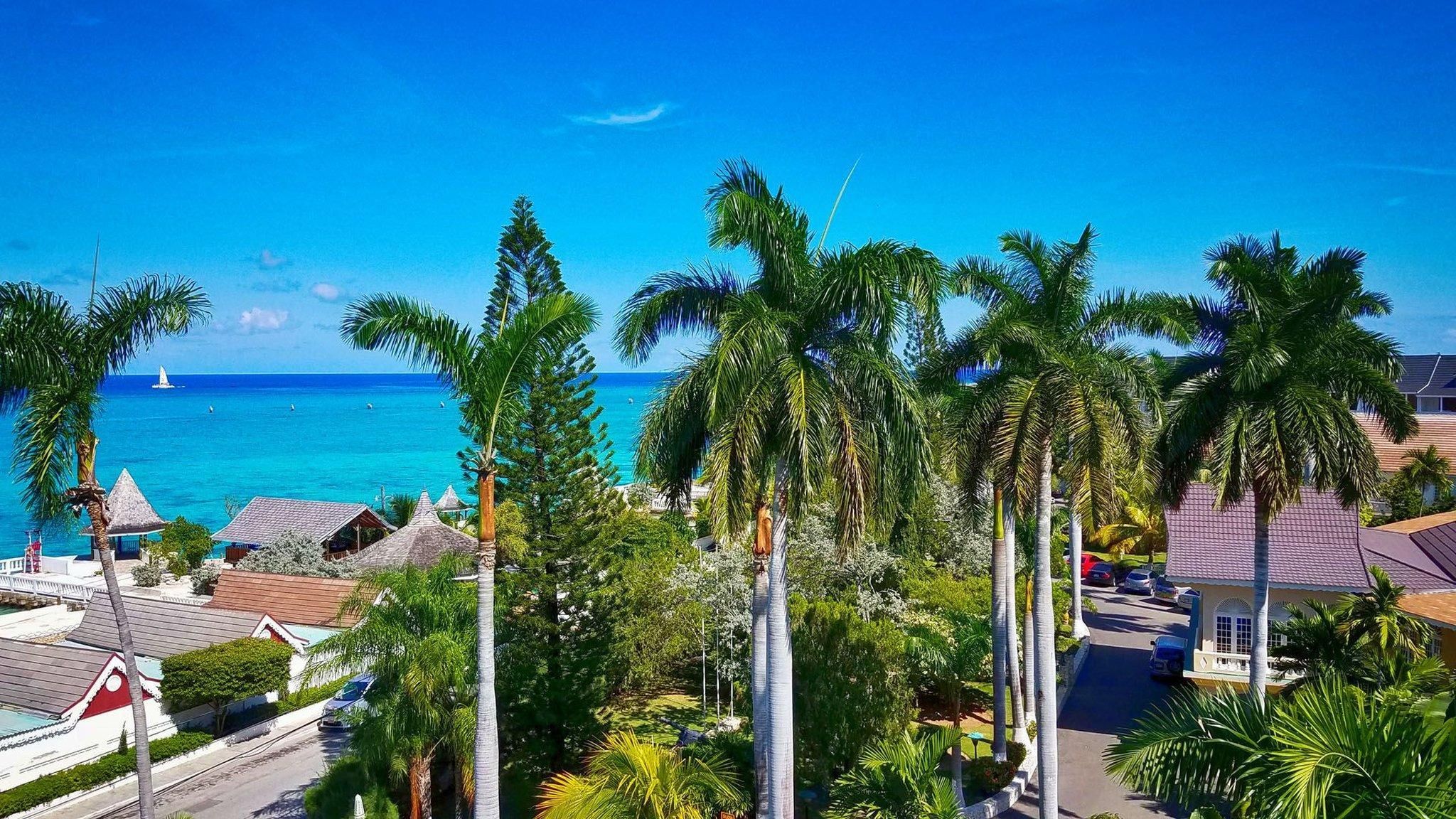 المظهر الخارجي