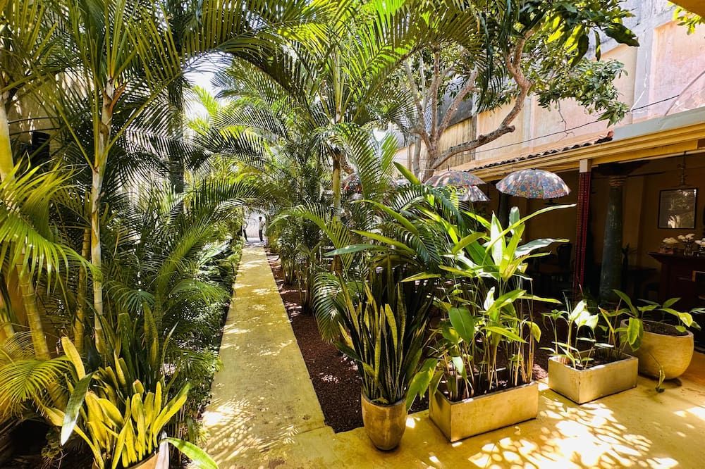 المظهر الخارجي