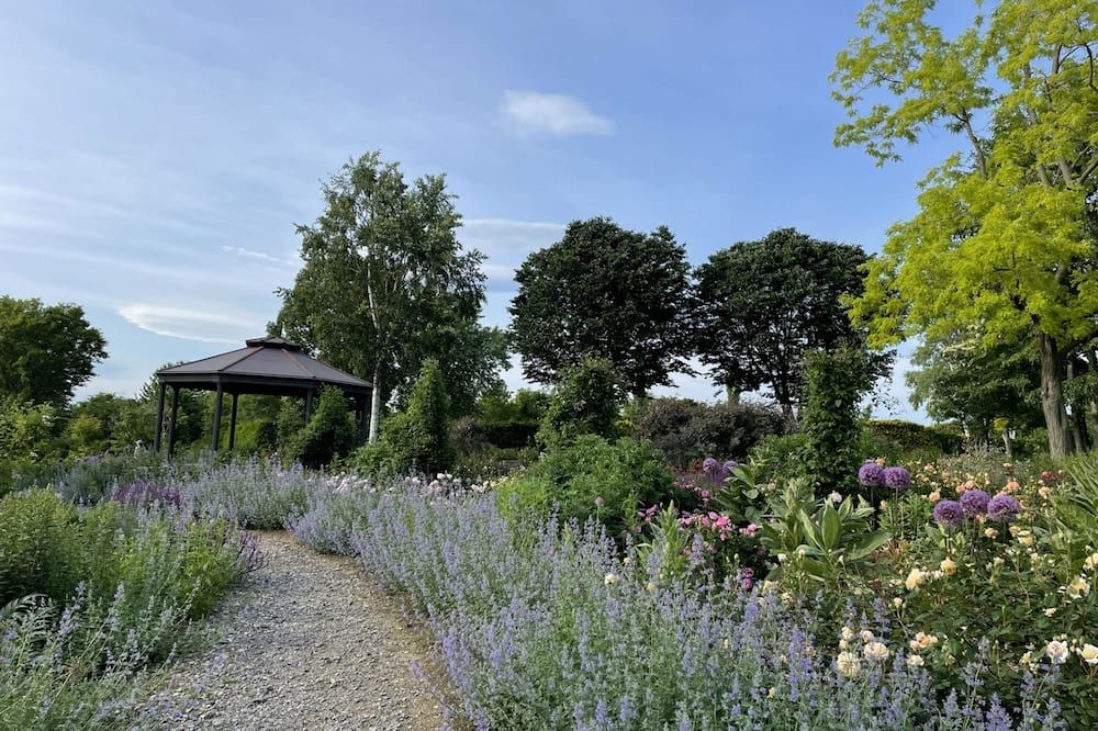 المظهر الخارجي