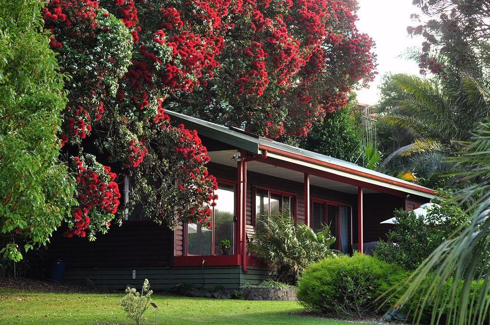 المظهر الخارجي