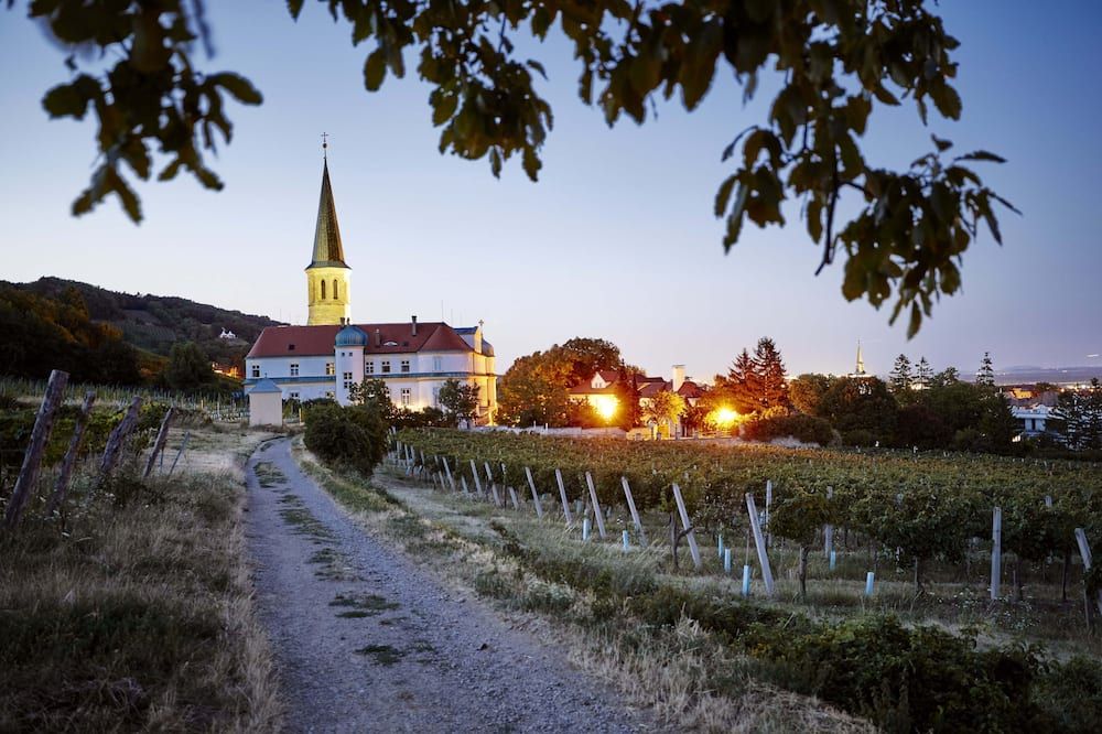 المظهر الخارجي