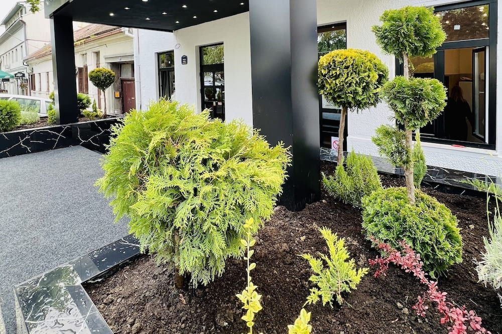 المظهر الخارجي