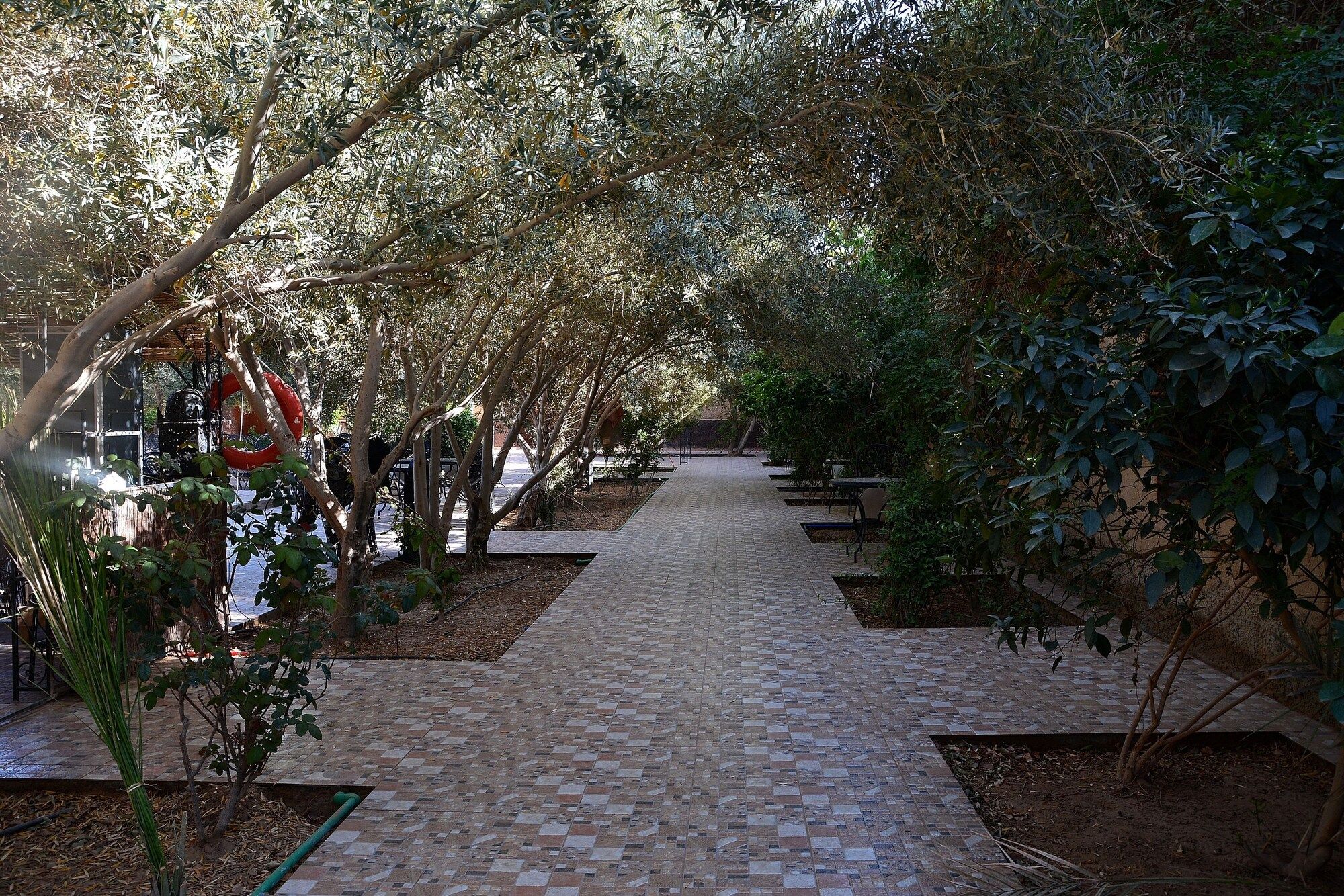 المظهر الخارجي