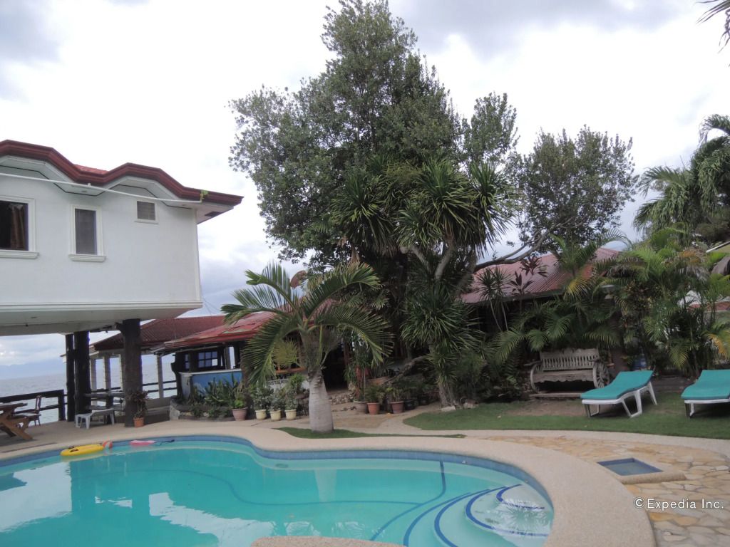 حوض السباحة