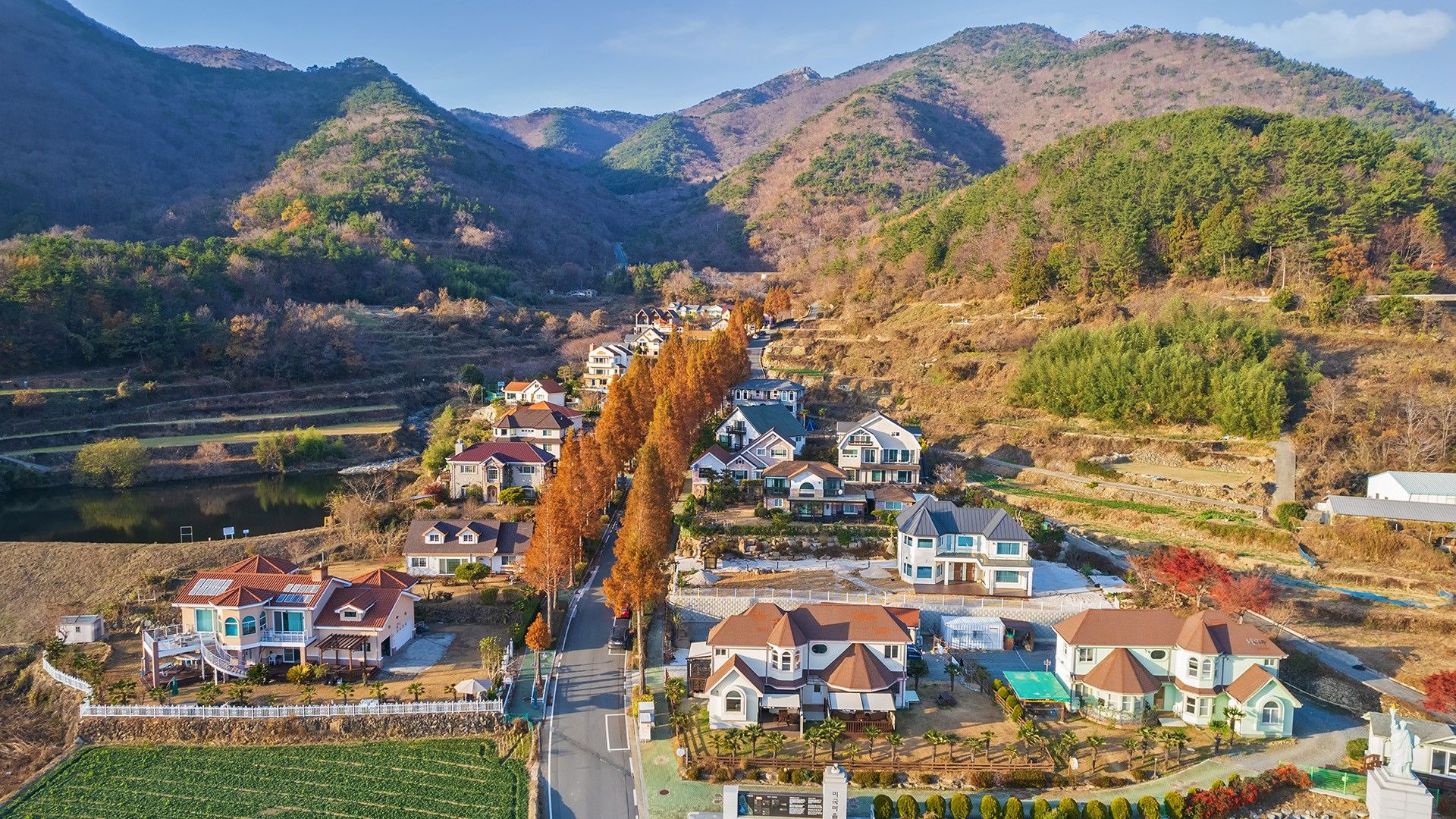 المظهر الخارجي