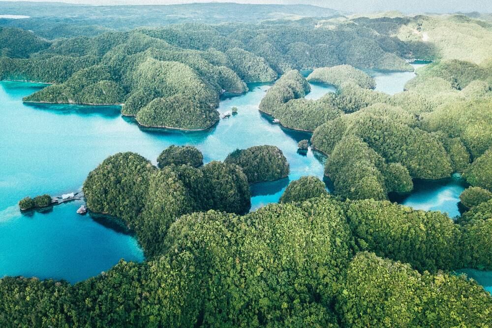 المظهر الخارجي