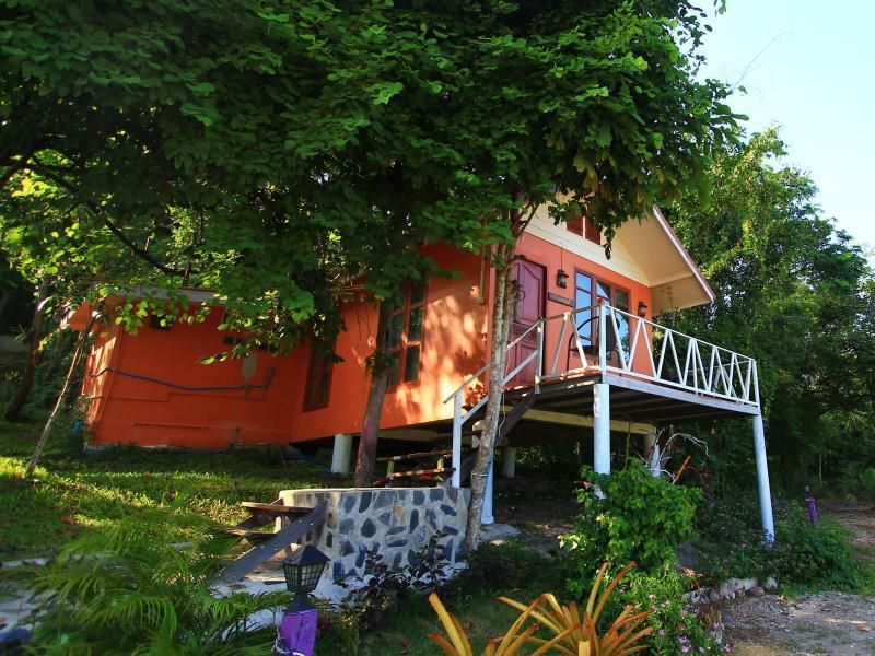 المظهر الخارجي